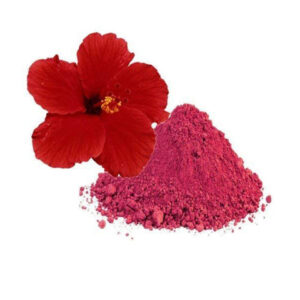 FORESTREE Pure & Natural Hibiscus Flower Powder For Hair & Skin - 100 g