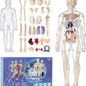kobbet Activity Toys and Games