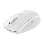 Portronics Toad 30 Wireless Mouse With 2.4 GHz Connectivity