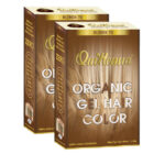 QUIKHENNA Set of 2 Organic Gel Ammonia Free Hair Colour 120 g Each - Blonde 7G