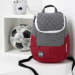 Wildcraft Women Grey Melange & Red Colourblocked Backpack