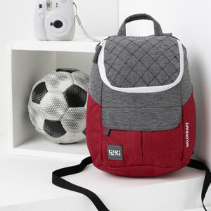 Wildcraft Women Grey Melange & Red Colourblocked Backpack